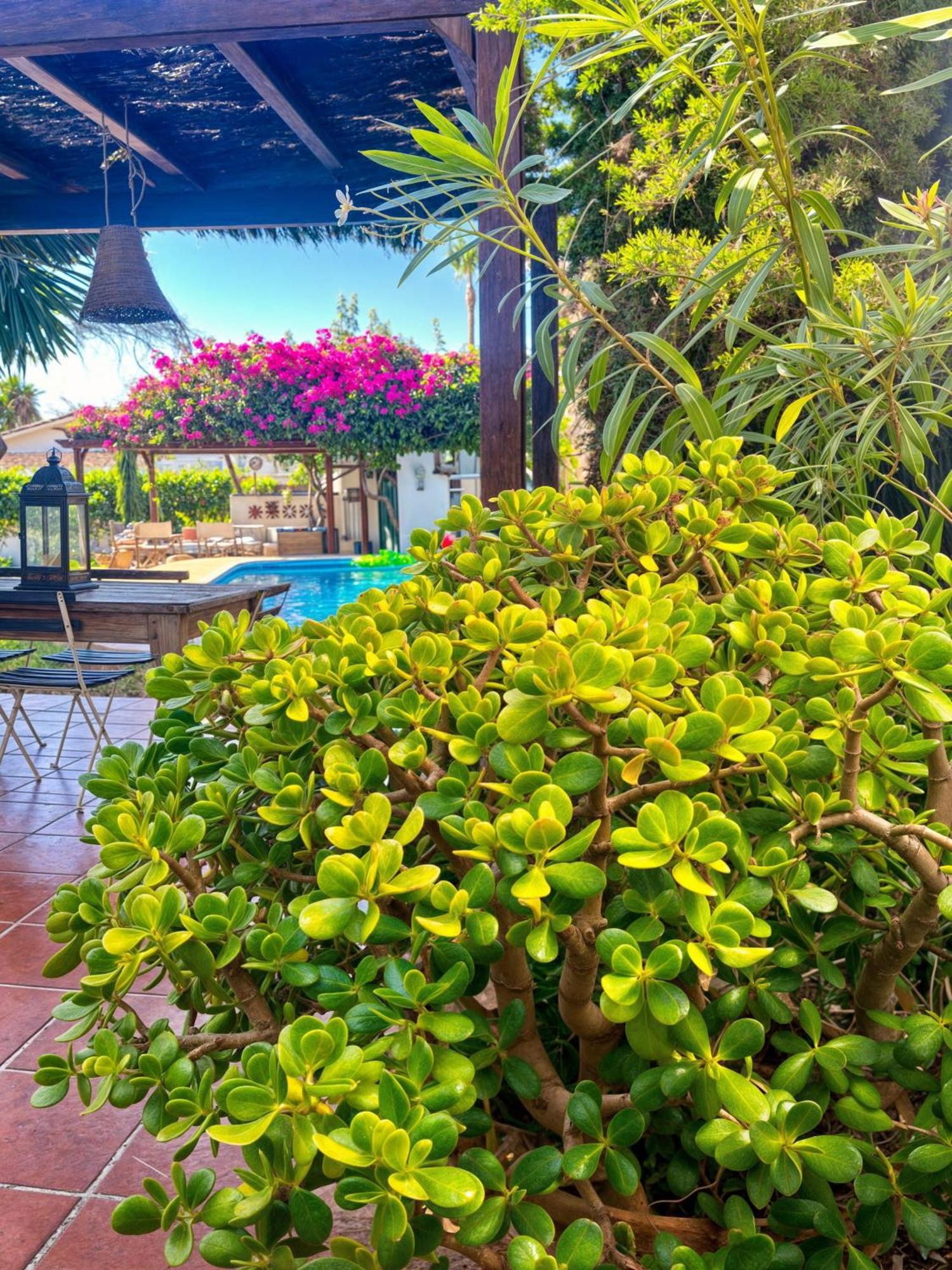 Villa Alfredo - Private Pool Next To The Beach Estepona Luaran gambar